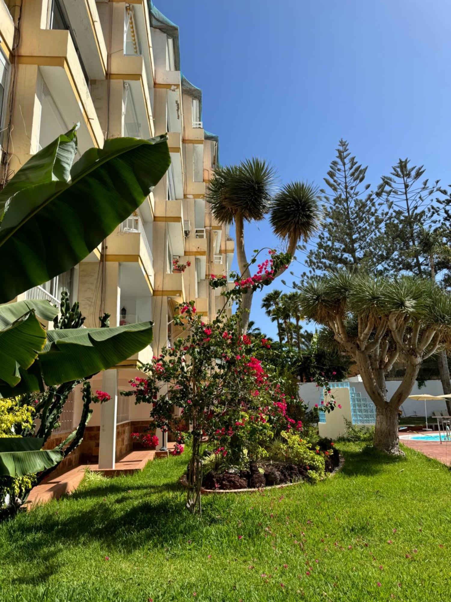 Apartamento Reformado En Apartamentos Tanife, Playa Del Ingles San Bartolomé المظهر الخارجي الصورة